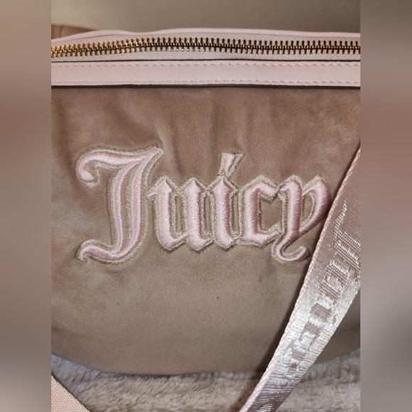 JUICY COUTURE Cafe/Powder Blush Queen of Everything Fanny Bag - Picture 4 of 11